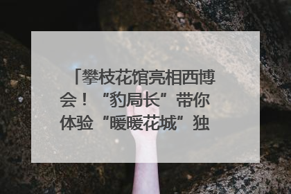 攀枝花馆亮相西博会！“豹局长”带你体验“暖暖花城”独特魅力｜西博视界