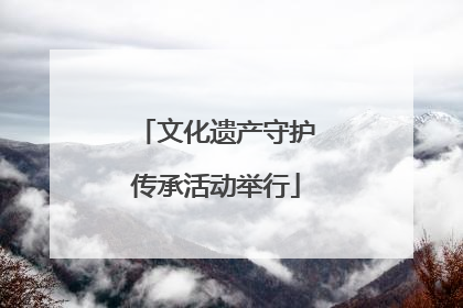 文化遗产守护传承活动举行
