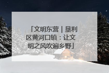 文明东营｜垦利区黄河口镇：让文明之风吹遍乡野