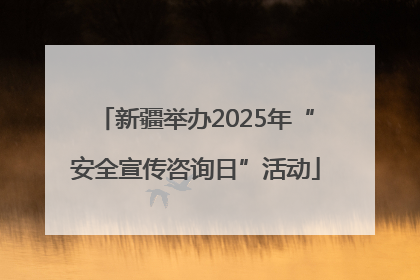 新疆举办2025年“安全宣传咨询日”活动