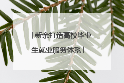 新余打造高校毕业生就业服务体系