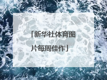 新华社体育图片每周佳作