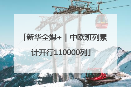 新华全媒+｜中欧班列累计开行110000列