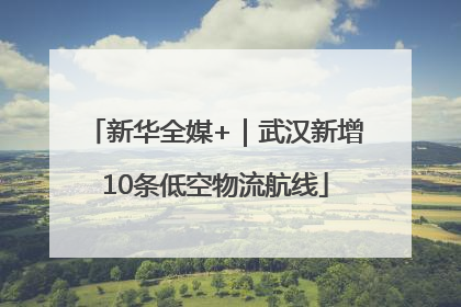 新华全媒+｜武汉新增10条低空物流航线