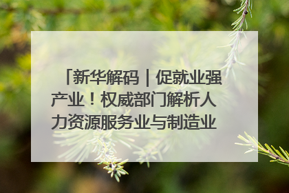 新华解码｜促就业强产业！权威部门解析人力资源服务业与制造业融合发展试点