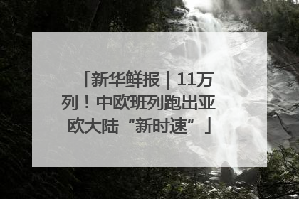 新华鲜报｜11万列！中欧班列跑出亚欧大陆“新时速”