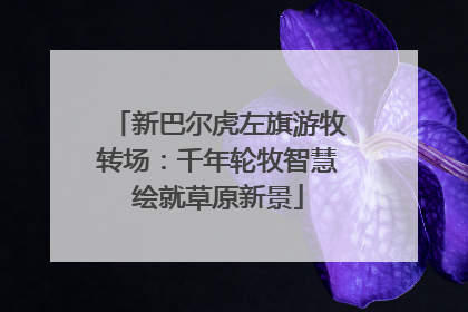 新巴尔虎左旗游牧转场：千年轮牧智慧绘就草原新景
