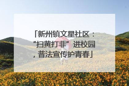 新州镇文星社区：“扫黄打非”进校园，普法宣传护青春