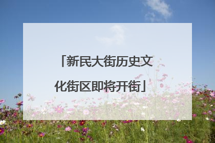 新民大街历史文化街区即将开街