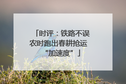 时评：铁路不误农时跑出春耕抢运“加速度”