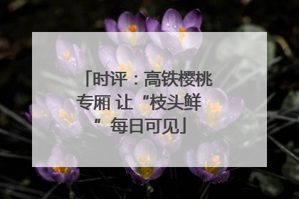 时评：高铁樱桃专厢 让“枝头鲜”每日可见