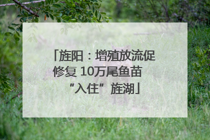 旌阳：增殖放流促修复 10万尾鱼苗“入住”旌湖