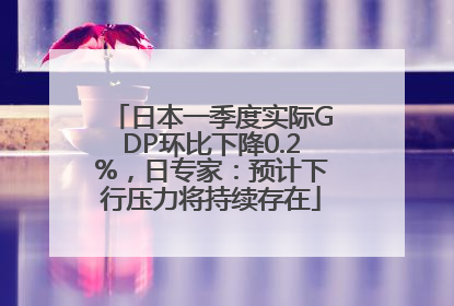 日本一季度实际GDP环比下降0.2%，日专家：预计下行压力将持续存在