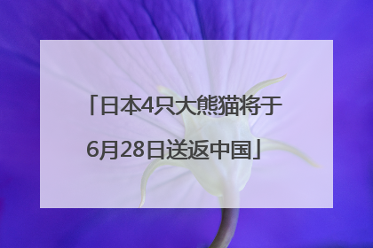 日本4只大熊猫将于6月28日送返中国