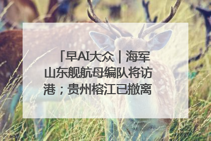 早AI大众｜海军山东舰航母编队将访港；贵州榕江已撤离转移群众超4万人