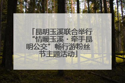 昆明玉溪联合举行“情暖玉溪・牵手昆明公交”畅行游粉丝节主题活动