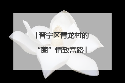 晋宁区青龙村的“菌”情致富路
