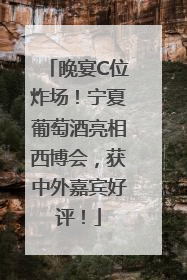 晚宴C位炸场！宁夏葡萄酒亮相西博会，获中外嘉宾好评！