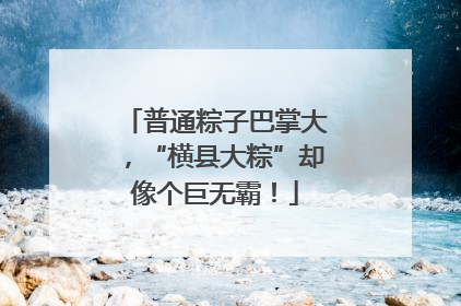 普通粽子巴掌大，“横县大粽”却像个巨无霸！