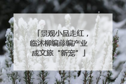 景观小品走红，临沭柳编藤编产业成文旅“新宠”