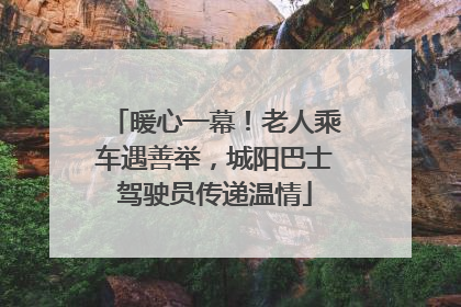 暖心一幕！老人乘车遇善举，城阳巴士驾驶员传递温情