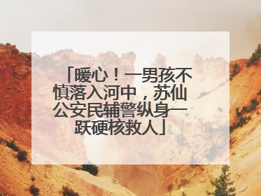 暖心！一男孩不慎落入河中，苏仙公安民辅警纵身一跃硬核救人