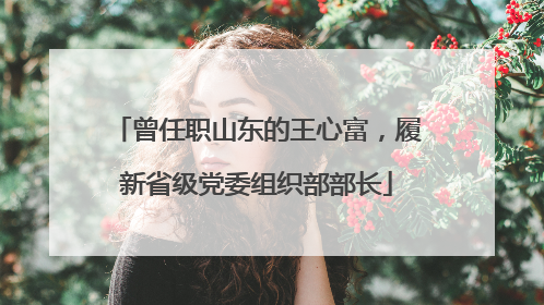 曾任职山东的王心富，履新省级党委组织部部长