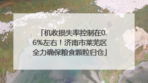机收损失率控制在0.6%左右！济南市莱芜区全力确保粮食颗粒归仓