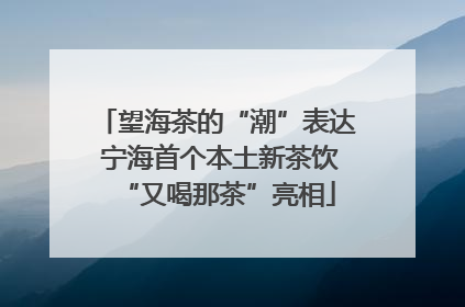 望海茶的“潮”表达 宁海首个本土新茶饮“又喝那茶”亮相