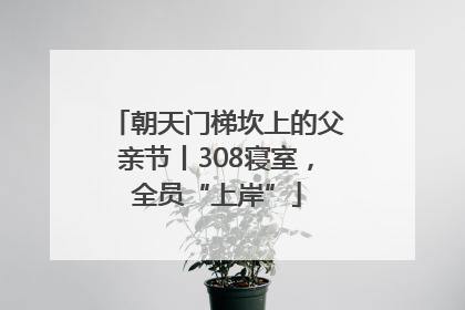 朝天门梯坎上的父亲节丨308寝室，全员“上岸”