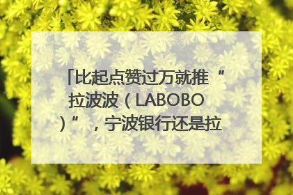比起点赞过万就推“拉波波（LABOBO）”，宁波银行还是拉业绩吧｜财经辣评