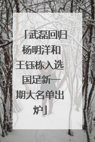 武磊回归 杨明洋和王钰栋入选 国足新一期大名单出炉