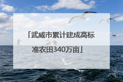武威市累计建成高标准农田340万亩