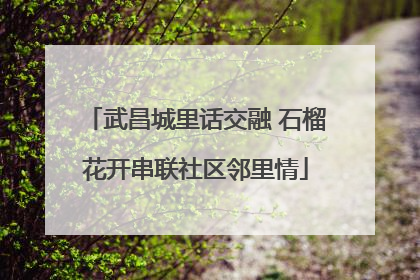 武昌城里话交融 石榴花开串联社区邻里情