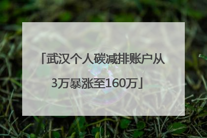 武汉个人碳减排账户从3万暴涨至160万