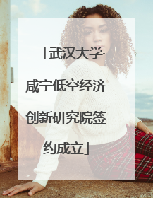 武汉大学·咸宁低空经济创新研究院签约成立