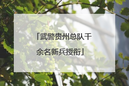 武警贵州总队千余名新兵授衔