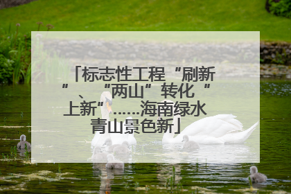 标志性工程“刷新”、“两山”转化“上新”……海南绿水青山景色新