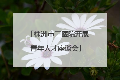 株洲市二医院开展青年人才座谈会