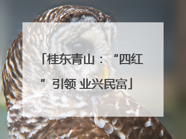桂东青山：“四红”引领 业兴民富