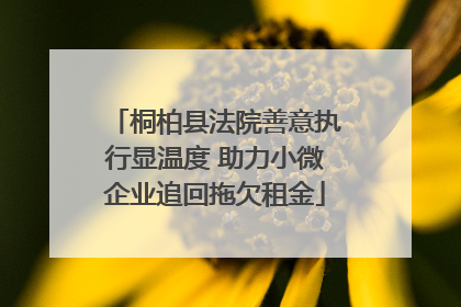 桐柏县法院善意执行显温度 助力小微企业追回拖欠租金