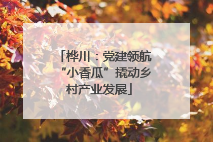 桦川：党建领航“小香瓜”撬动乡村产业发展