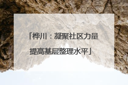 桦川：凝聚社区力量 提高基层整理水平