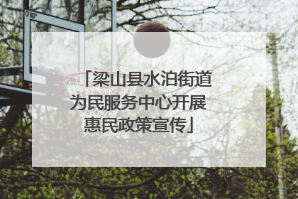 梁山县水泊街道为民服务中心开展惠民政策宣传