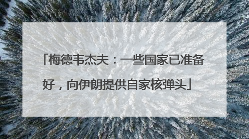 梅德韦杰夫：一些国家已准备好，向伊朗提供自家核弹头