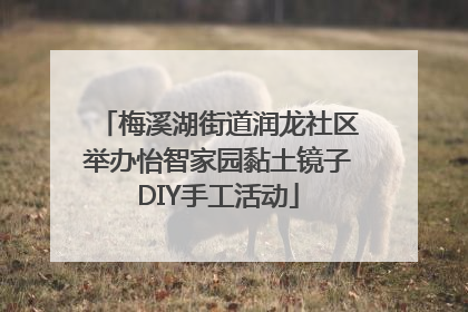 梅溪湖街道润龙社区举办怡智家园黏土镜子DIY手工活动