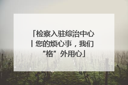 检察入驻综治中心丨您的烦心事，我们“格”外用心
