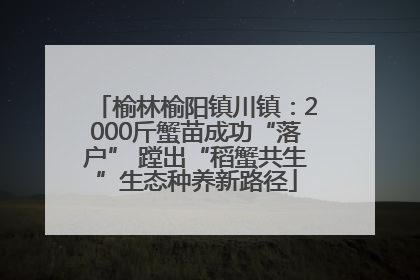 榆林榆阳镇川镇：2000斤蟹苗成功“落户” 蹚出“稻蟹共生”生态种养新路径