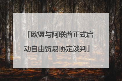 欧盟与阿联酋正式启动自由贸易协定谈判