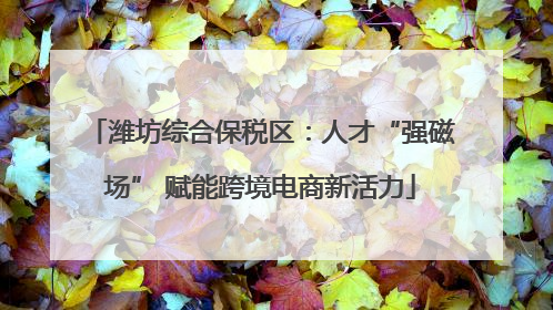 潍坊综合保税区：人才“强磁场” 赋能跨境电商新活力